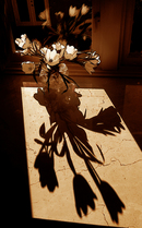 Anna's flowers